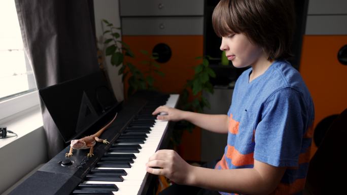 钢琴上有宠物变色龙的年轻音乐家