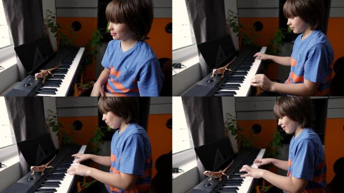 钢琴上有宠物变色龙的年轻音乐家
