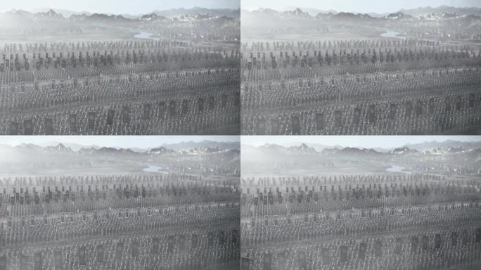 古代军队方阵 大军集结旗帜招展 三维画面