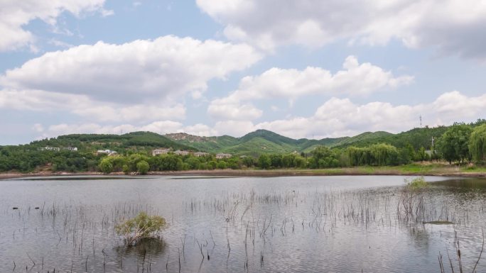 凤凰湖湿地公园延时