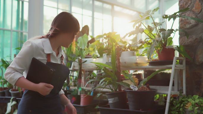 作为小企业主的企业家女孩，她在植物店、温室、树木店工作