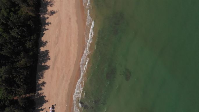 海滩 海浪 沙滩 航拍