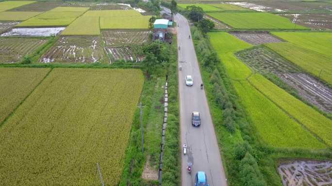 乡村乡镇农村农田田野田园航拍村居种植农业