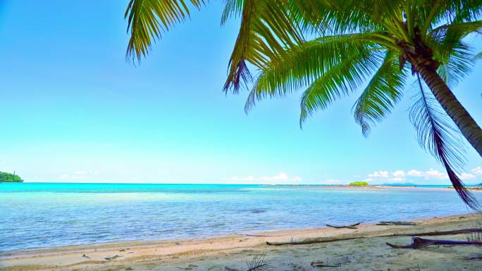 棕榈树和热带海滩海南热带沙滩