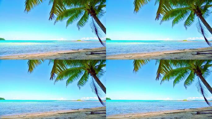 棕榈树和热带海滩海南热带沙滩