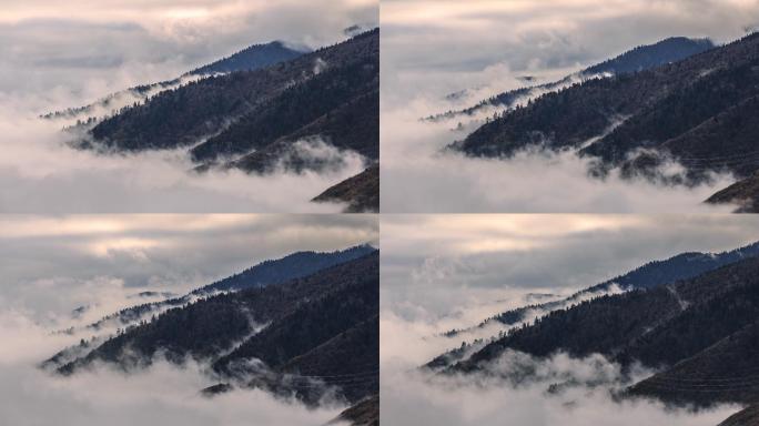 云从山谷升到山顶寂静的原野生态保护雾海蒙