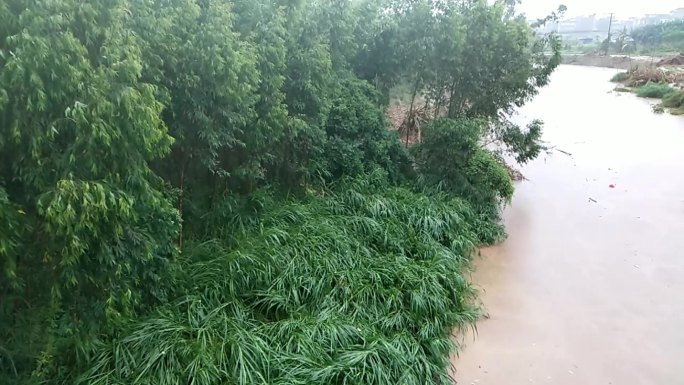 下雨天气暴雨过后小河洪水猛涨洪大受灾