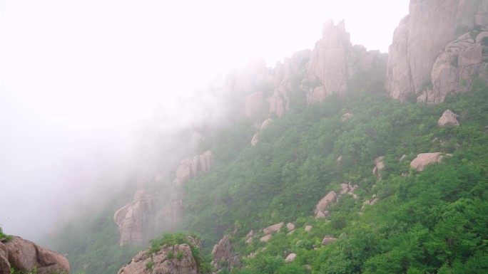 4K山谷云雾-中国风风景-崂山云雾