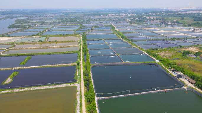 北海螃蟹养殖塘海上牧场生蚝养殖水产养殖