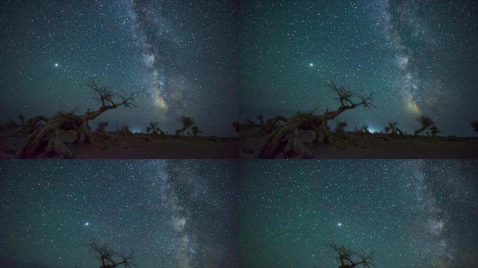 额济纳旗怪树林夏季星空银河延时摄影