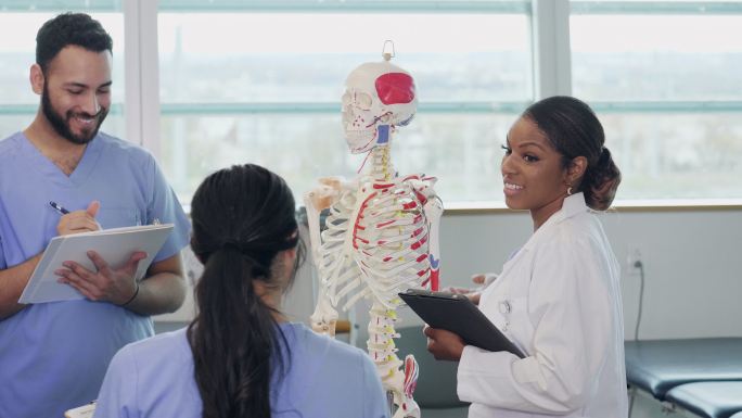 医学院教授与学生讨论人类骨骼系统