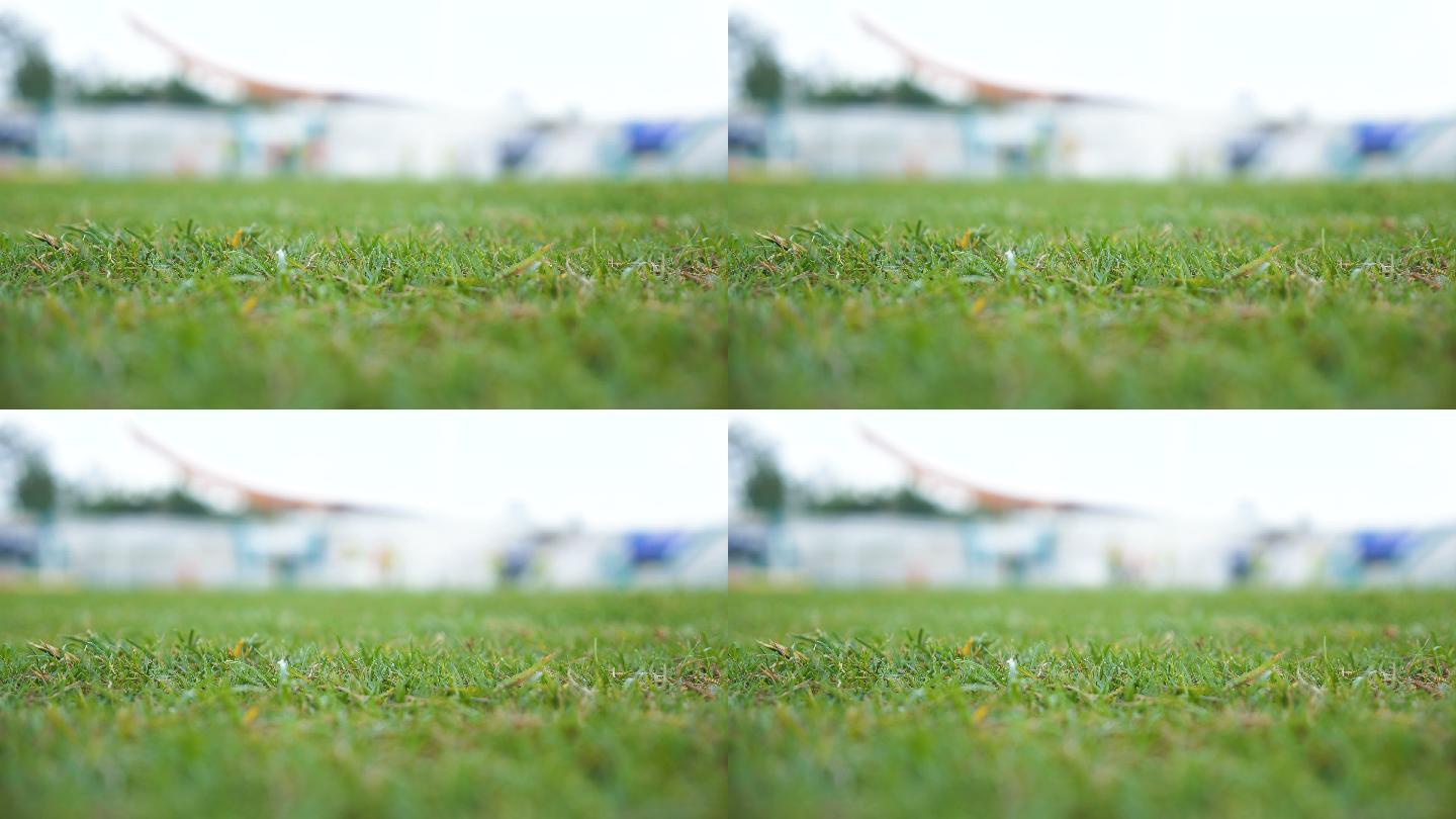 特写：足球草地。学校操场