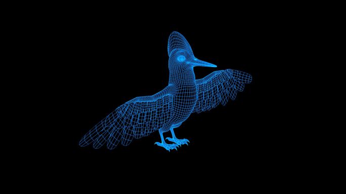 蓝色线框全息科技啄木鸟视频素材带通道