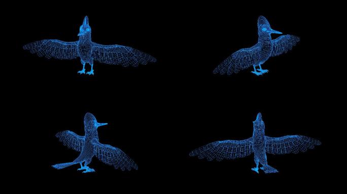 蓝色线框全息科技啄木鸟视频素材带通道