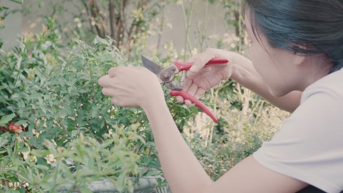 年轻女子在花园里照料植物和花卉