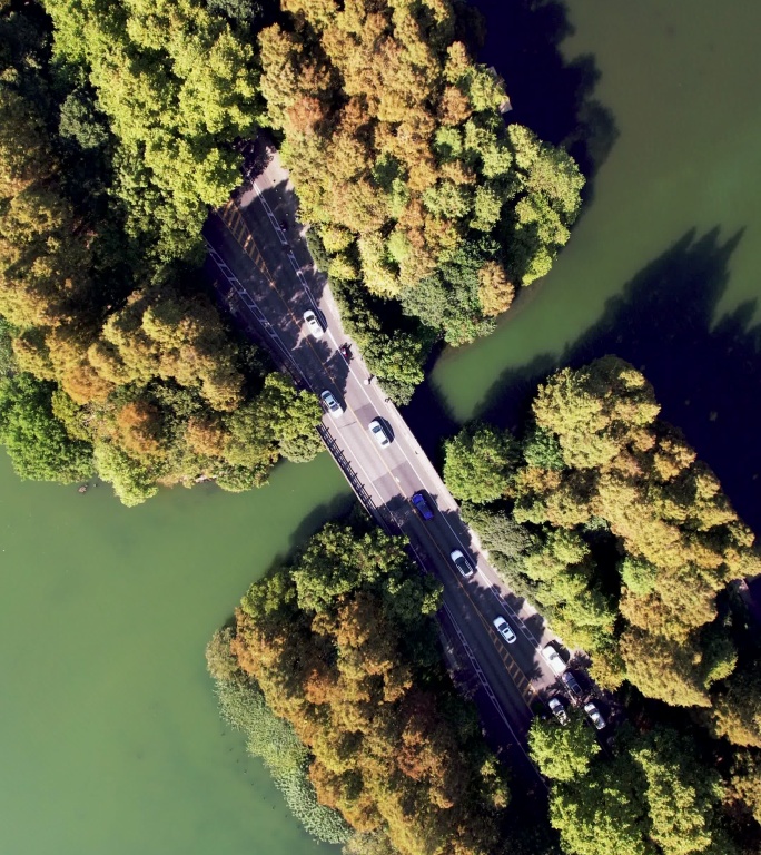 穿过湖泊和树木区域的道路鸟瞰图