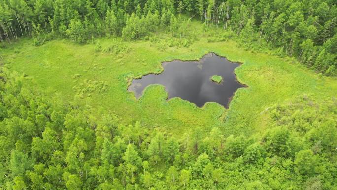 4K湖泊湿地森林航拍