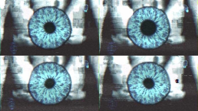 人眼智能识别系统瞳孔扫描