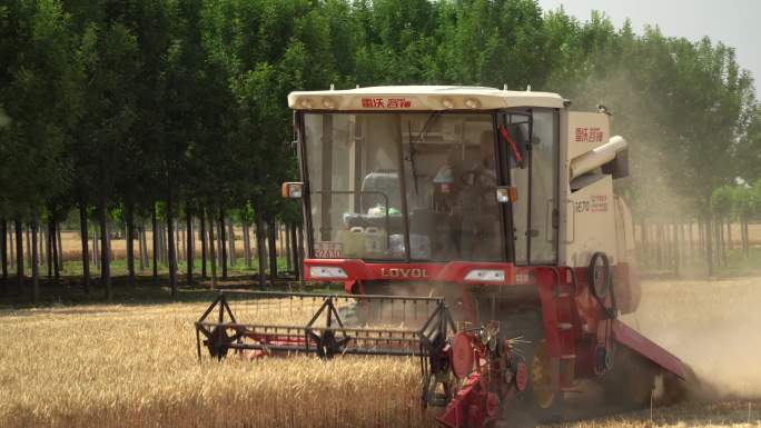 机械化小麦收割航拍