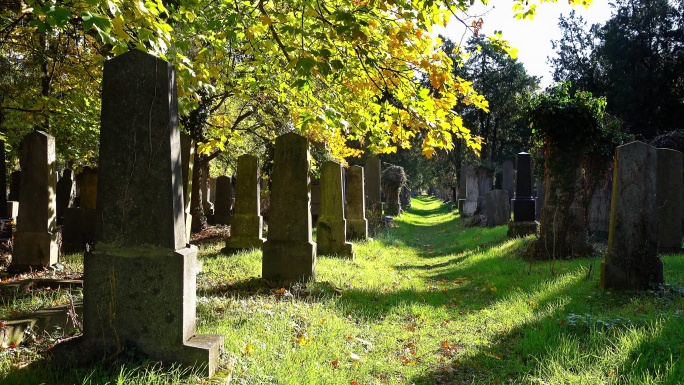 秋天的旧墓碑陵园逝者葬礼