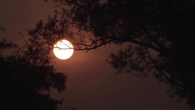 夕阳西下的农村风景