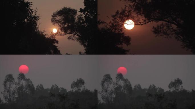 夕阳西下的农村风景