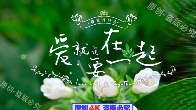 原创4K-春天绿色清新慢综艺花字-带字体