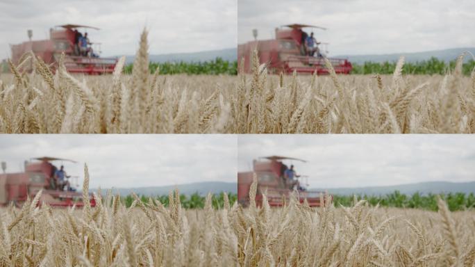 农田小麦联合收获机