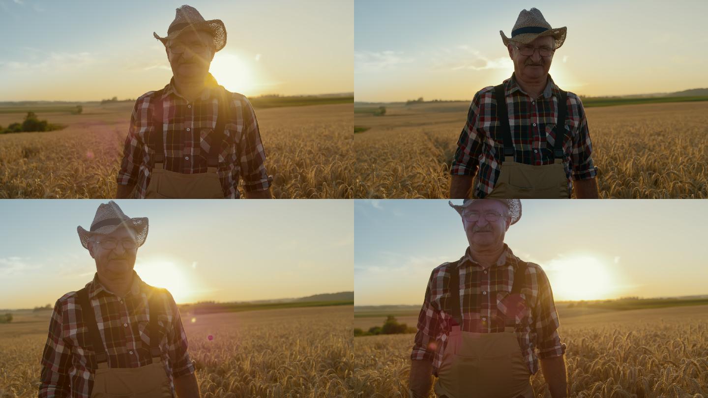 日落时分，老农夫斯洛·莫在麦田中央摆姿势