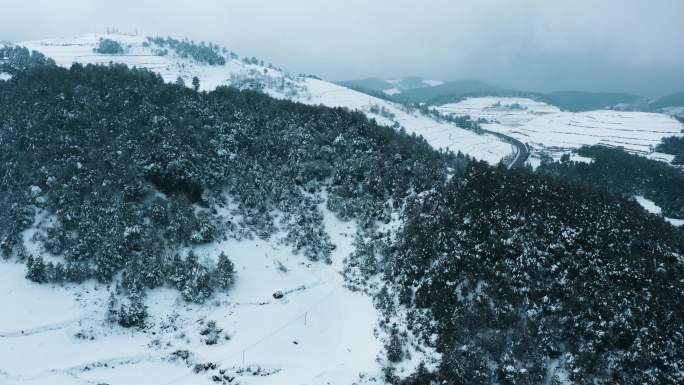 冬季白雾白雪覆盖田野山川森林高速公路