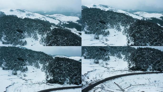 冬季白雾白雪覆盖田野山川森林高速公路