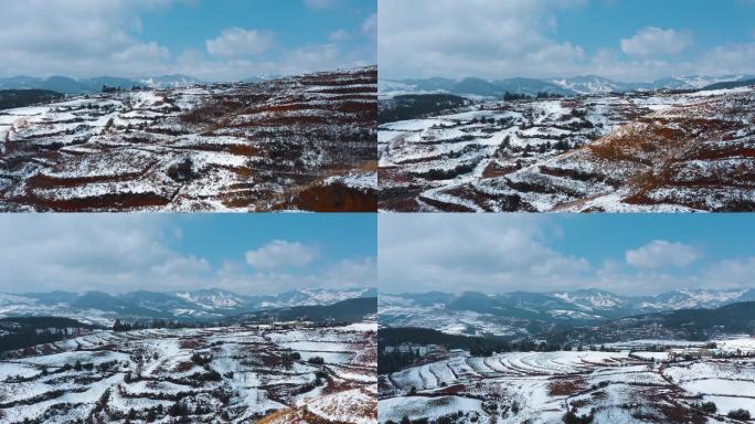 冬季白雪覆盖红土地山川田野远处连绵雪山