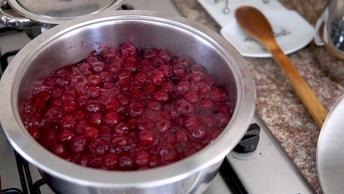 把小红莓和糖放在锅里煮成果酱