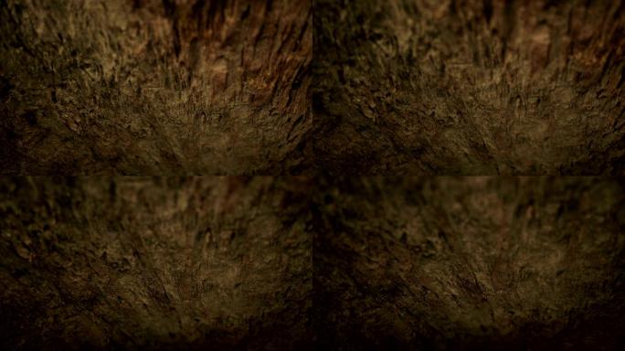 探索洞穴探险洞穴结构