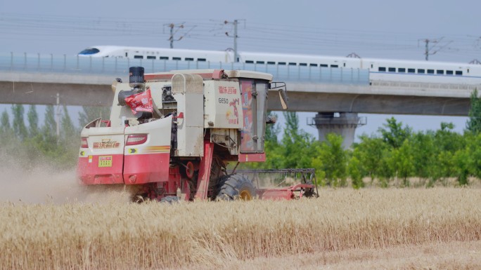 【4K】 收割小麦和高铁通过