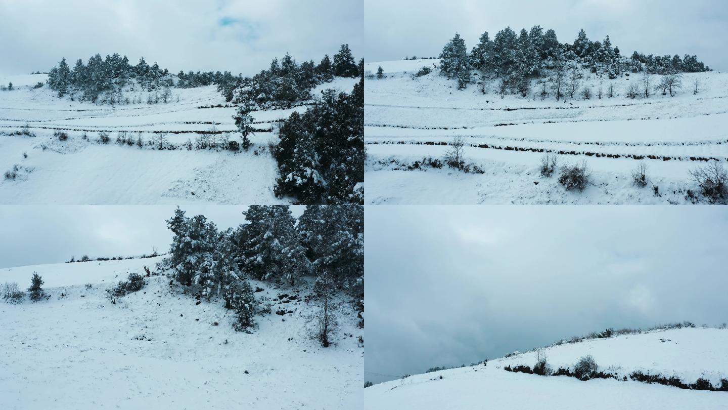 冬季白雾白雪皑皑田野山川森林