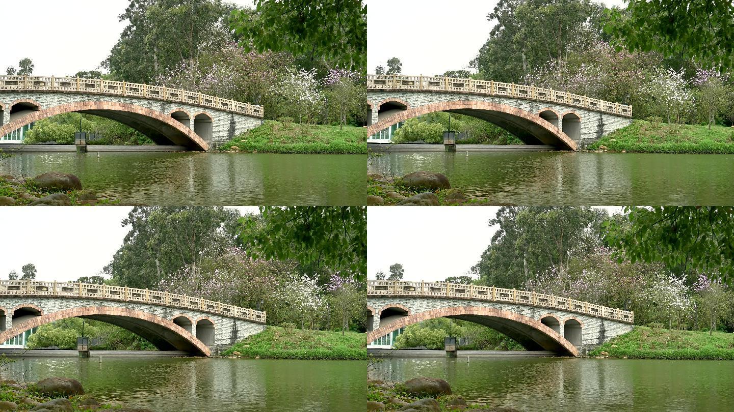 广州华南植物园石拱桥风景4K