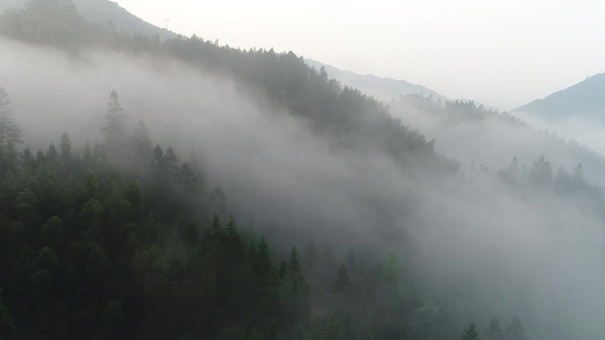 桂林森林山腰雾的空中拍摄