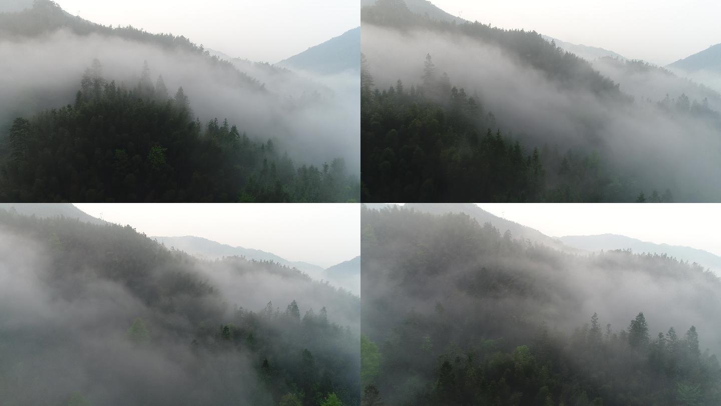 桂林森林山腰雾的空中拍摄