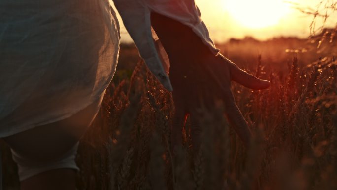 时间扭曲效应——日落时分，斯洛·莫（SLO-MO）女人在田里触摸麦穗。