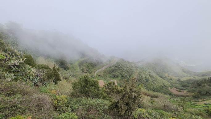 特内里费岛的云层徒步旅行