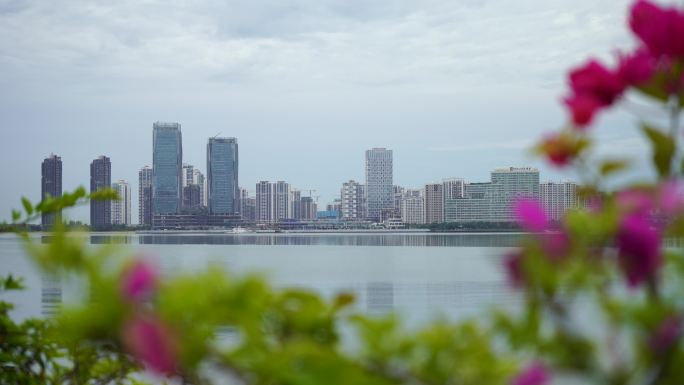 海南自贸港风景