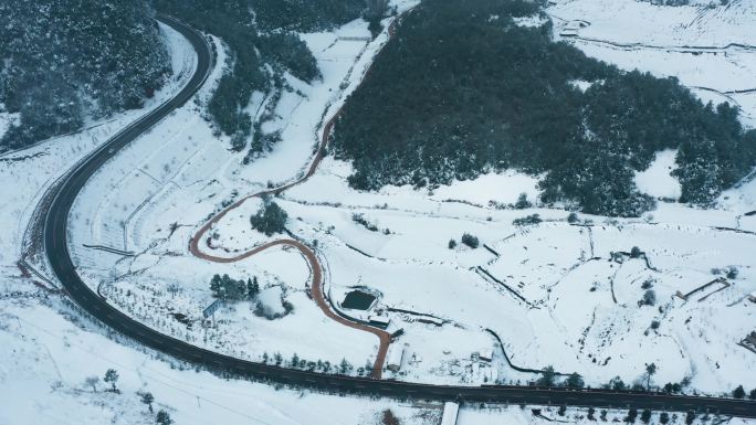 白雾白雪覆盖森林高速公路乡村公路