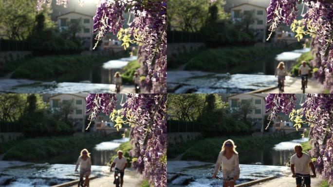 紫藤花下的情侣自行车，从下面的小溪