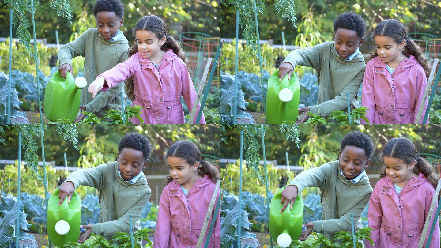 社区花园中的多种族男孩和女孩水生植物