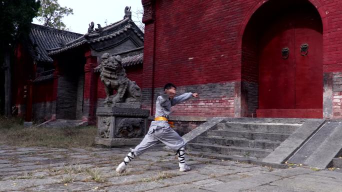 少林功夫少林功夫嵩山少林寺大红门