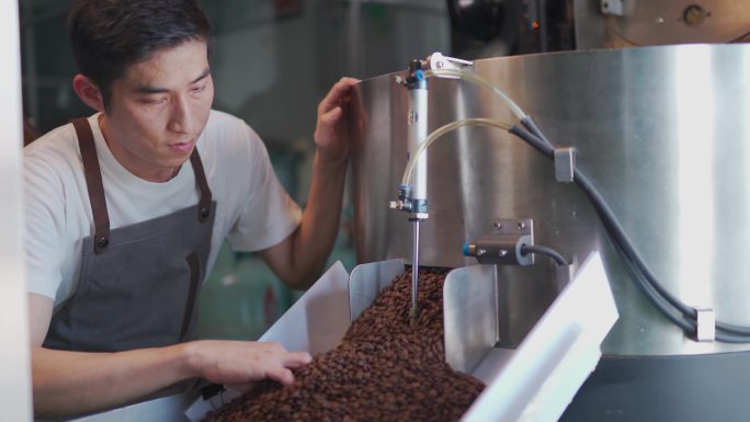 一名亚裔中国工匠在工厂从冷却过程中纺出咖啡豆后，检查咖啡豆去石的过程