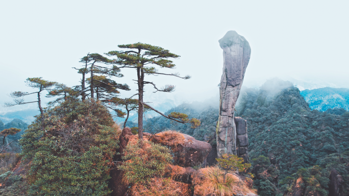 三清山巨蟒出山