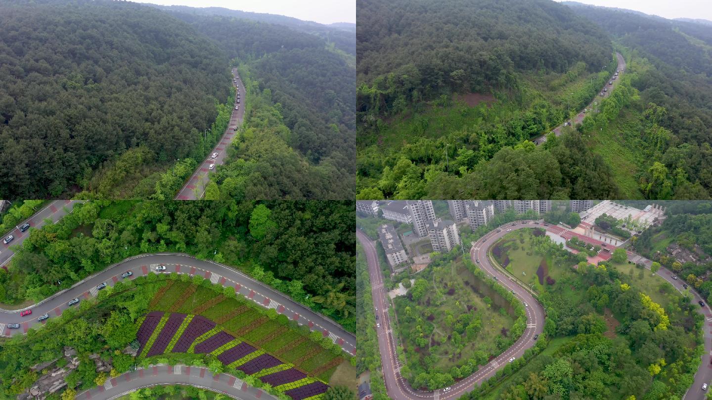 铁山坪山路