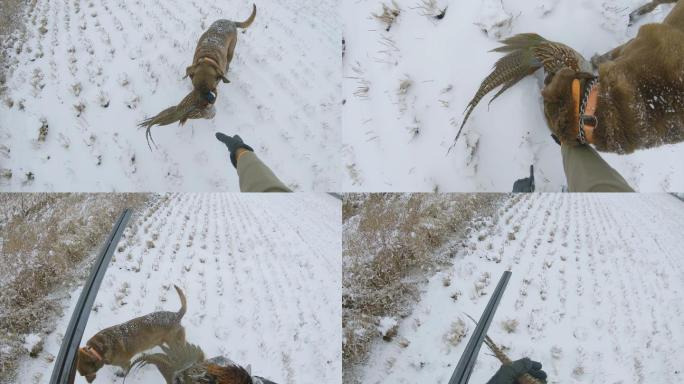 保护保护区的人。在雪天股票视频上行走的男人